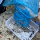 산속정원캠핑장 이미지