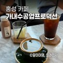 가내수공업 | 홍성 카페 | 법원 근처 가내수공업프로덕션 내돈내산 후기☕️