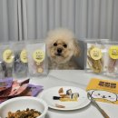 콩이네 방앗간 | 강아지 수제 간식 건강하고 맛있는 콩이네방앗간