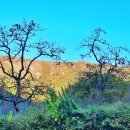 주홍민박 이미지