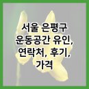 서울 은평구 운동공간 유인, 연락처, 후기, 가격