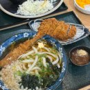 세종 우동 맛집 / 늦으면 못먹는 족타면 “우동의 진수”