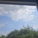 126 | 군포시 부곡동 방충망(모노필라멘트 미세망)
