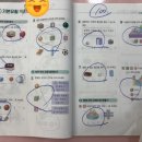예스영수학원