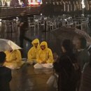 씨티에프 이미지