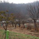 지택21공인중개사사무소 이미지