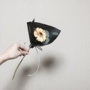 르제이 - 제주시 | 르제이