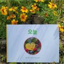 연상농장 이미지