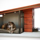 도그하우스 이미지