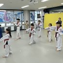 용인대 리더스 태권도 이미지