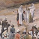 모세목장 이미지