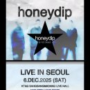 가사마당 | honeydip 내한 공연 <honeydip is not dead.> 후기 @상상마당