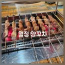 [청주/봉명동] 봉명동 먹자골목 술집 | 월정 양꼬치