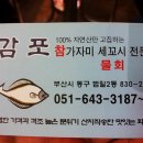 감포참가자미 이미지