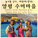 깡통청춘 | 양평 수미마을 빙어 송어 축제 빙송어축제