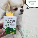 유황비누 추천, 닥터옐로우 릴리프 허브 비누로 피부보습 끝