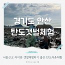 청룡어촌체험마을1 | 안산 아이와 갯벌체험 탄도 어촌체험마을 서울근교 해루질 스팟