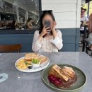 마리나아일랜드 | [호주] 해밀턴 아일랜드에서 시드니 이동하는 법/ 해밀턴 아일랜드 브런치 맛집 마리나 카페 추천