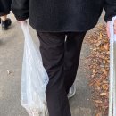 쏭쏭루 이미지