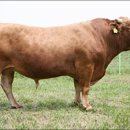 선후축산 이미지