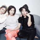 짝 이미지