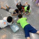 용인대서원태권도장 이미지