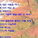 시동산 네이버블로그