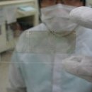 메타사이언스 이미지