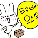 새치와까망머리 이미지