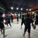 국제체육관미아점복싱무에타이MMA주짓수 이미지