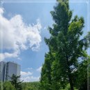 내곡동276 이미지