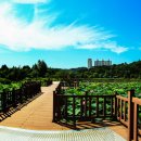 양산호수공원 이미지