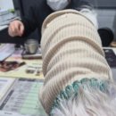 메디 포즈 동물병원 이미지