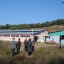 춘천농장 이미지