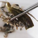 중산로157번길 | 고양시반찬배달 정갈한찬 고양점 집밥 느낌의 정기 배송