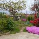 수연농장 이미지