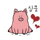 베리폴댄스 이미지
