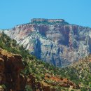 자이언(ZION) 이미지