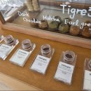 리틀카이스트 이미지