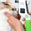 보령동물병원 이미지