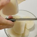 배들농장 이미지