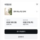 로마 한인 민박 추천 🇮🇹 로마 피노키오 민박 내돈내산 후기