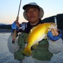 황쏘가리 이미지