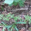 비전농장 이미지