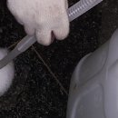 세정목욕탕 이미지