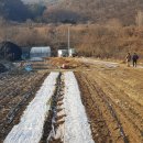 수청리농장 이미지