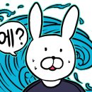 디와이스튜디오 이미지