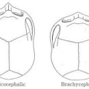 행복한안경원 이미지