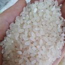 포두농장 이미지