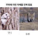 소소한 우드카빙(4분기) | 2025년 4분기 청산(1): 10월~11월